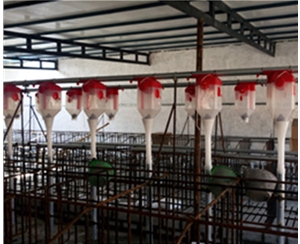 惠州养猪自动化料线